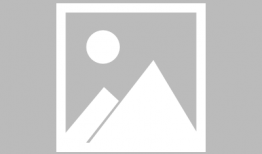 娱乐圈吃瓜党百度百科,揭秘娱乐圈背后的八卦风云