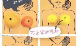 乳头漫画,揭秘人体艺术与幽默的完美融合